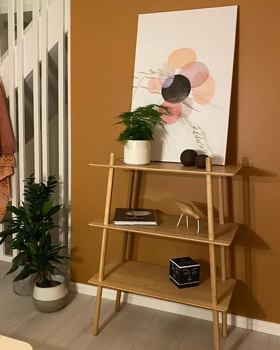 Natural Clay dining room paint review