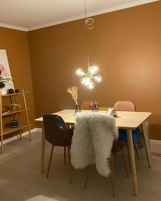 Natural Clay dining room color review