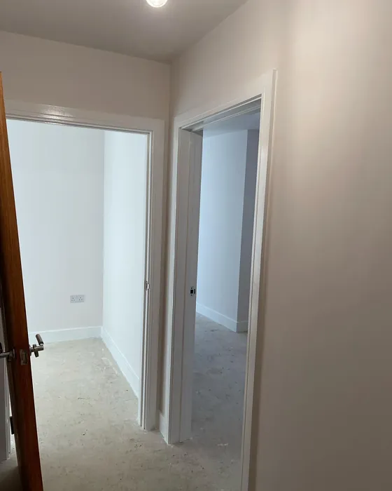 Dulux Natural Taupe 4 hallway color review