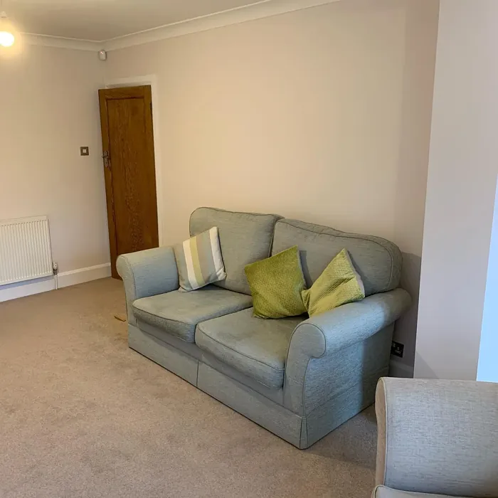 Natural Taupe 4 living room interior