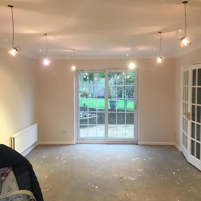 Dulux 13YY 77/083 wall paint makeover