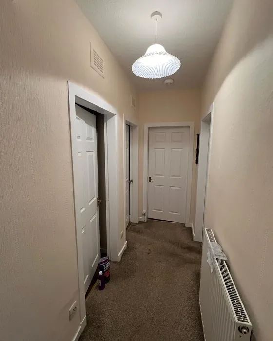 Dulux 13YY 77/083 hallway 
