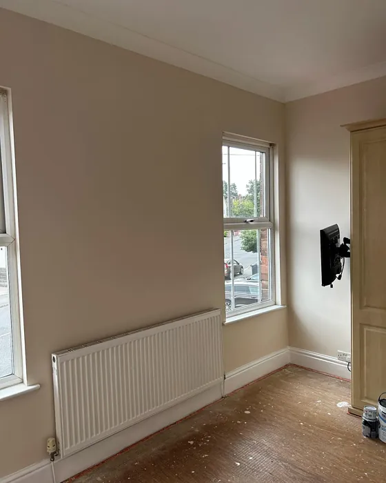 Dulux 13YY 77/083 wall paint review