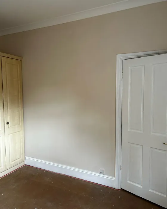 Dulux 13YY 77/083 wall paint photo