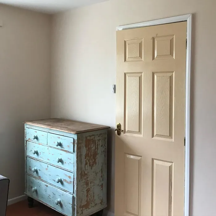 Dulux Natural Wicker wall paint review