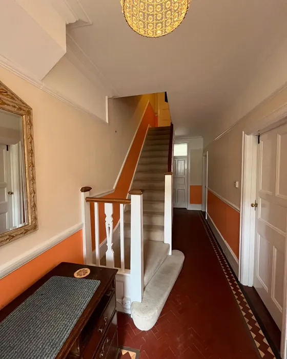 Dulux Natural Wicker hallway color review