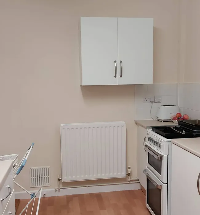 Dulux Natural Wicker kitchen paint