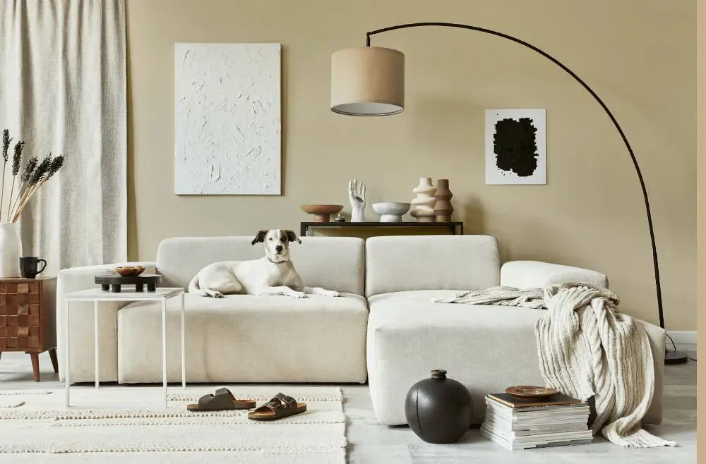 Sherwin Williams Natural Wool cozy living room