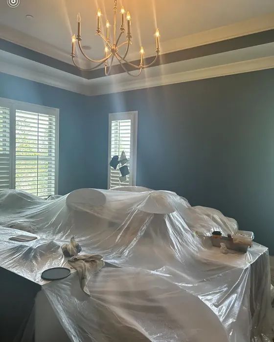 Sherwin Williams SW 0032 living room paint