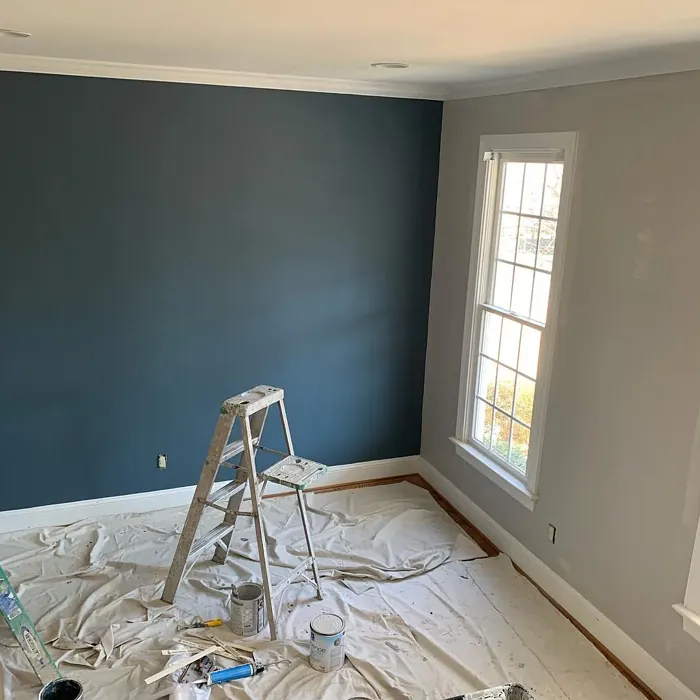 Sherwin Williams SW 0032 living room color