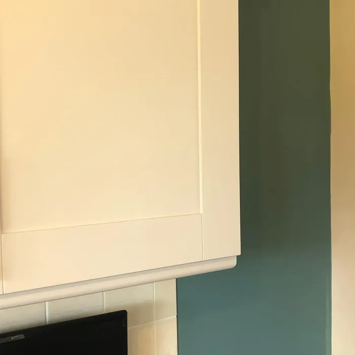 Neptune Seas wall paint 