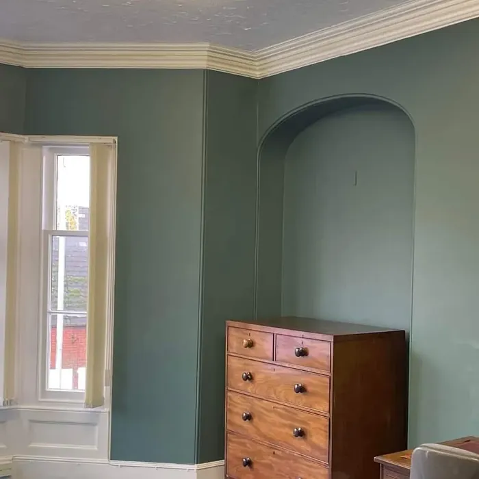 Neptune Seas wall paint review
