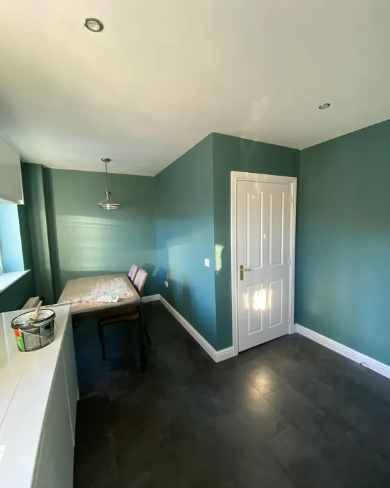 Dulux Neptune Seas dining room color