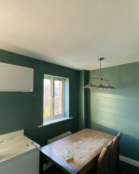 Dulux Neptune Seas dining room color review