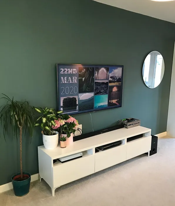 Dulux Neptune Seas living room accent wall