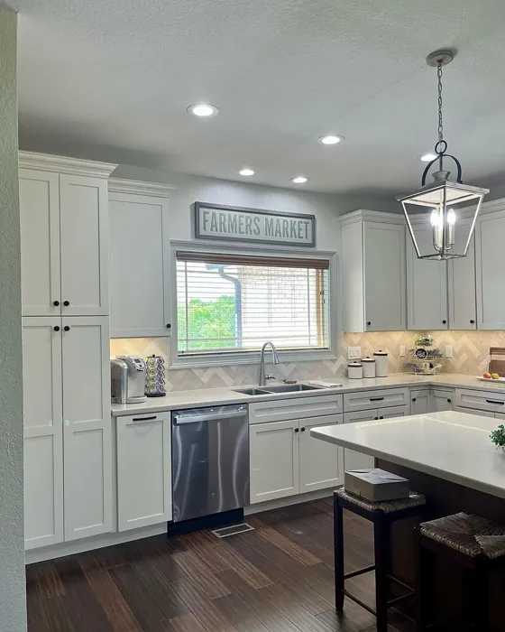 Neutral Ground kitchen cabinets color