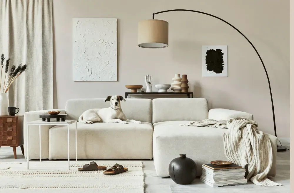 Sherwin Williams Nice White cozy living room