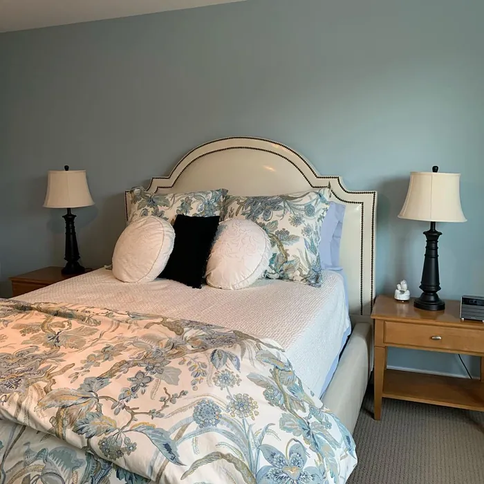 Sherwin Williams Niebla Azul Bedroom
