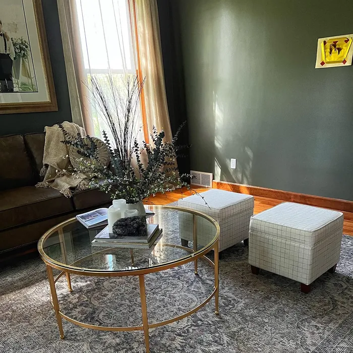 SW Night Owl living room interior