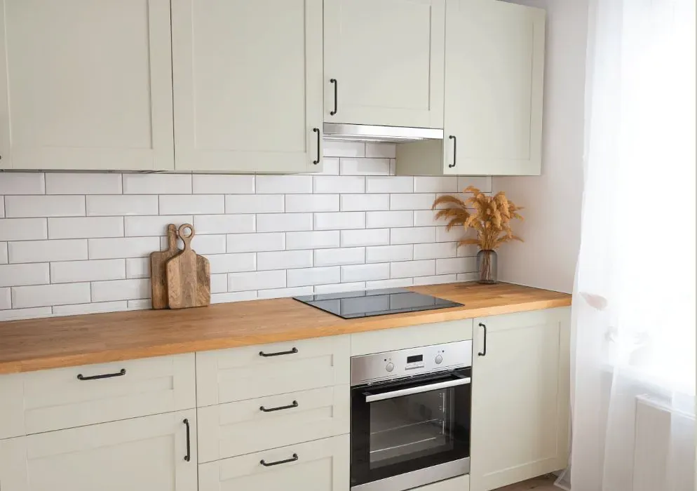 Sherwin Williams Nonchalant White kitchen cabinets