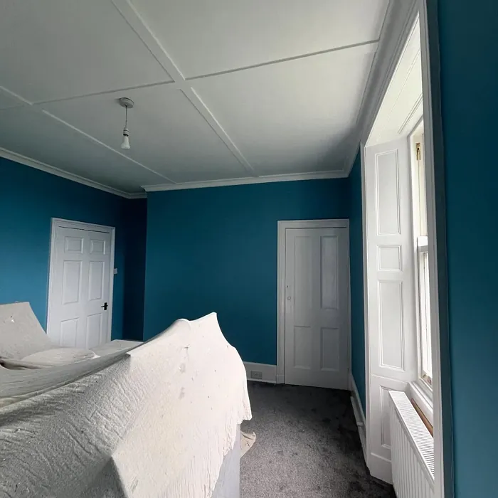 Dulux Nordic Sky wall paint color review