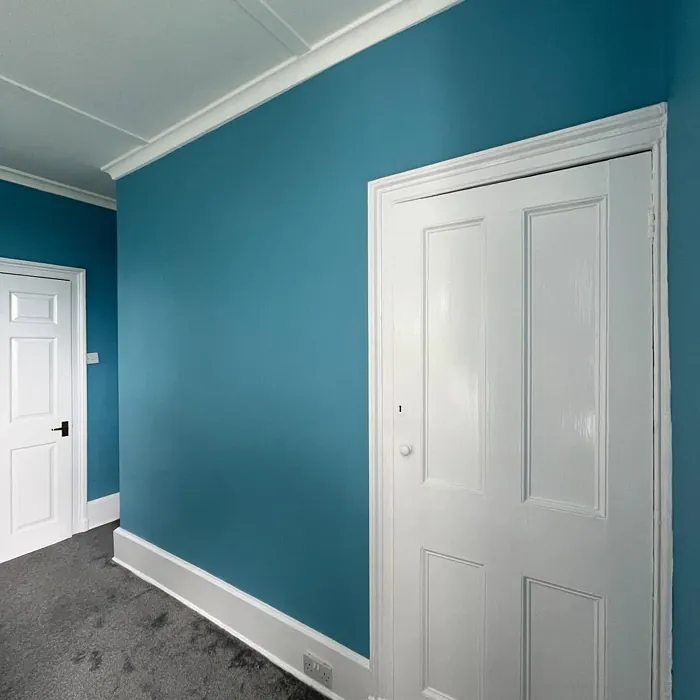 Dulux 69BG 40/190 wall paint 