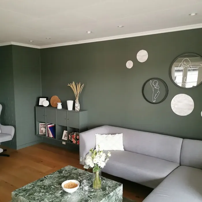 Northern Mystic scandinavian living room color review