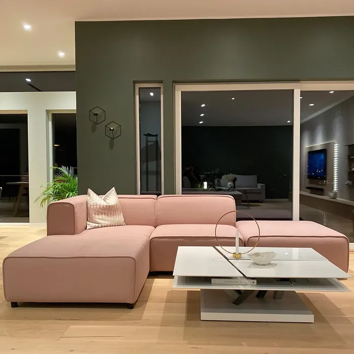Jotun Northern Mystic minimalist living room color