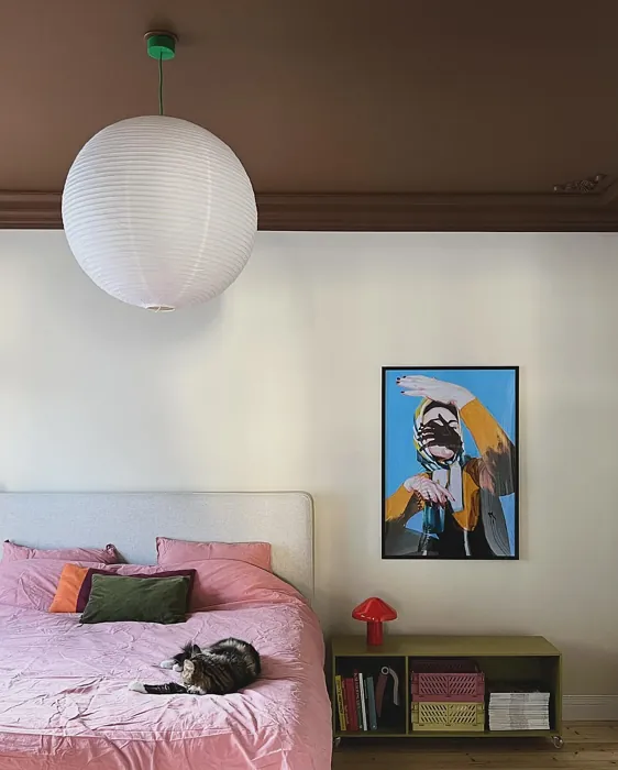 Jotun Norwegian Wood eclectic bedroom ceiling