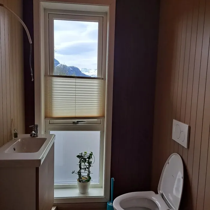 Jotun Norwegian Wood bathroom interior