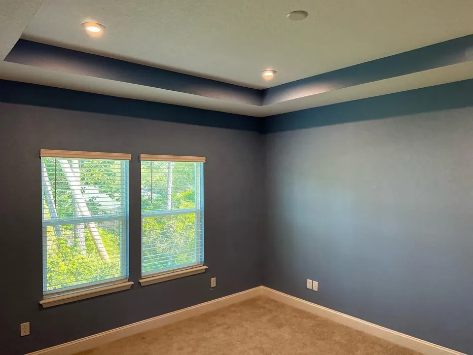 SW Notable Hue wall paint color