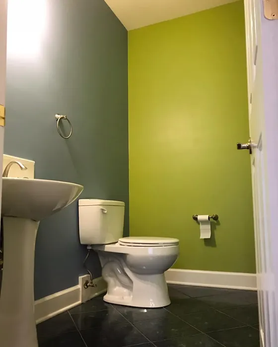 Sherwin Williams Notable Hue bathroom color