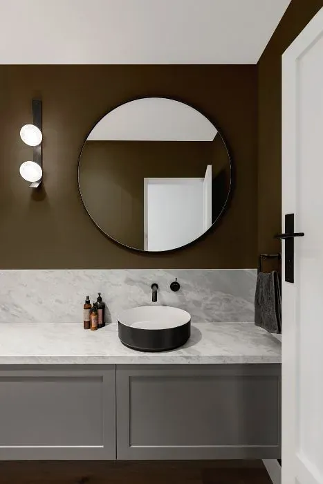Sherwin Williams Oak Leaf Brown minimalist bathroom