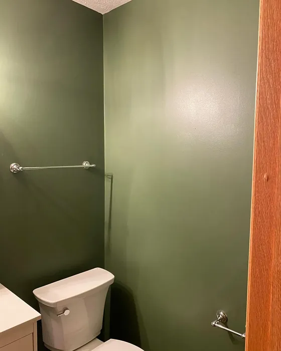 SW Oakmoss bathroom color review