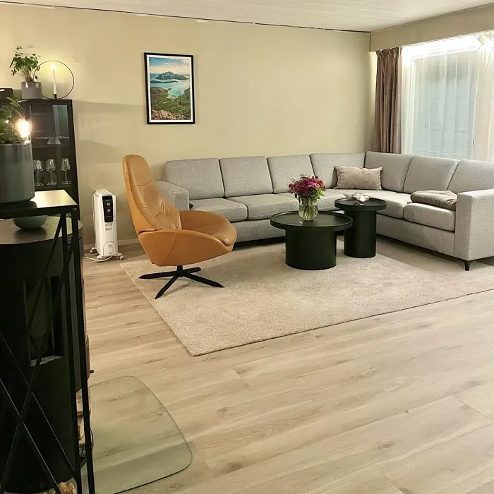 Jotun Observe scandinavian living room color review