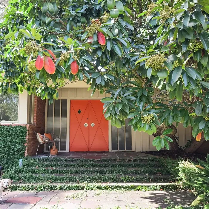 SW Obstinate Orange front door 