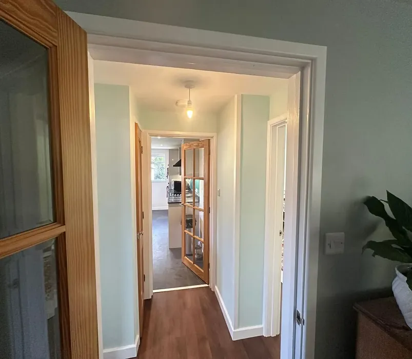 Ocean Ripple hallway color review