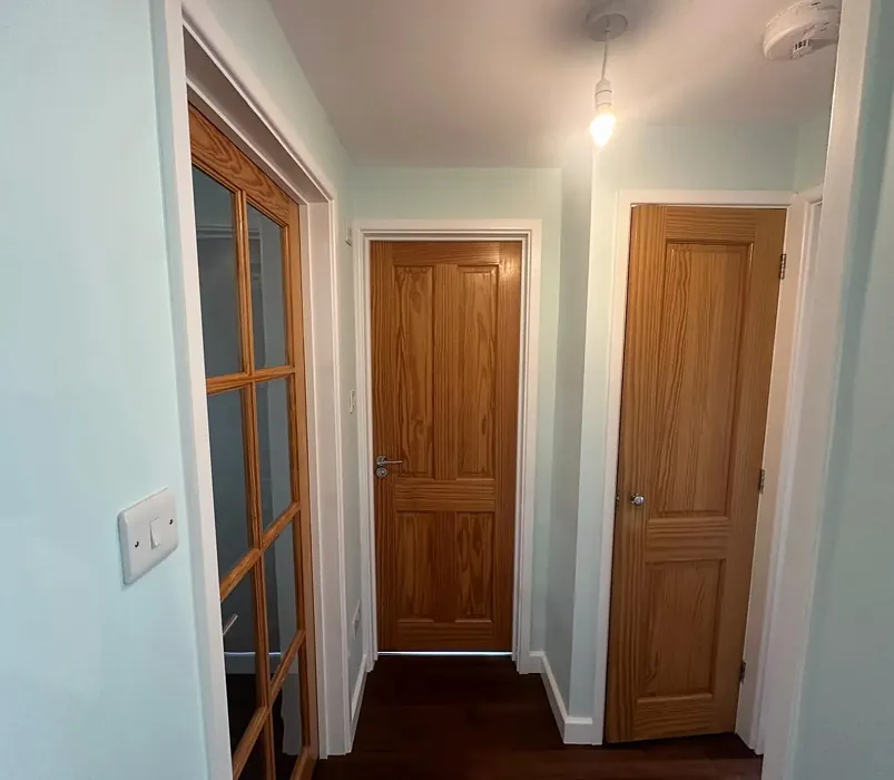 Ocean Ripple hallway review