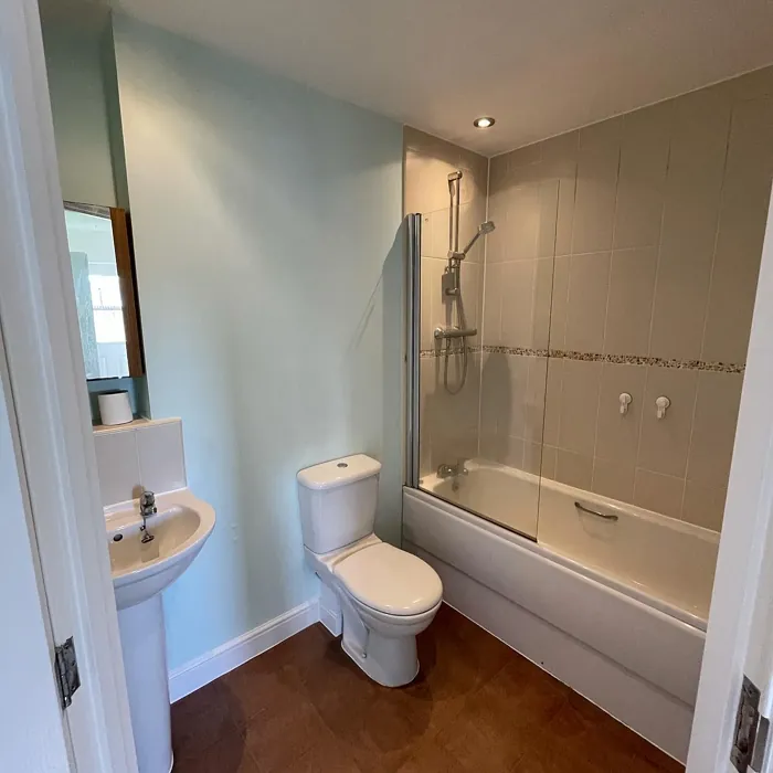 Dulux Ocean Ripple bathroom color