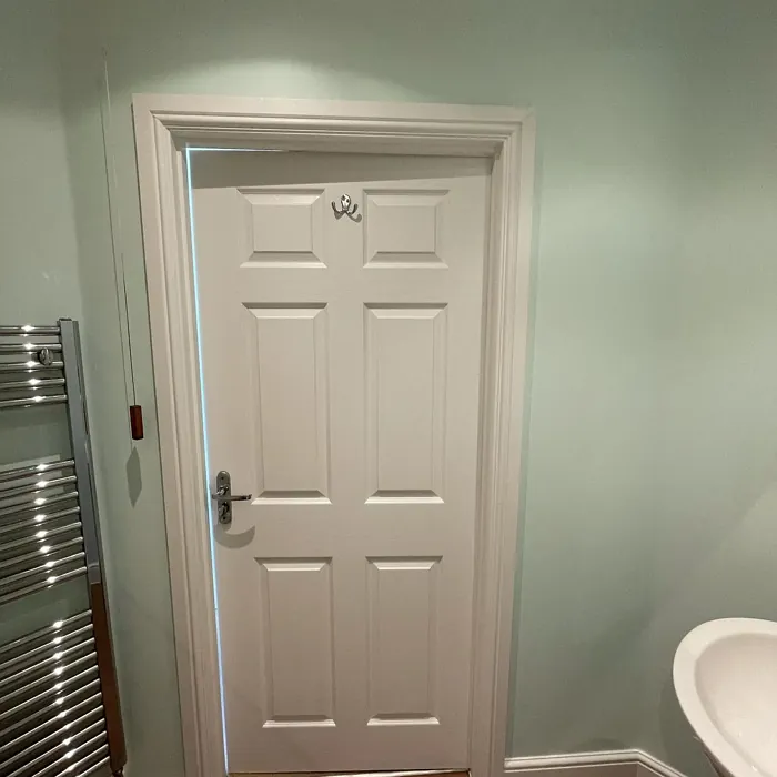Dulux Ocean Ripple bathroom 