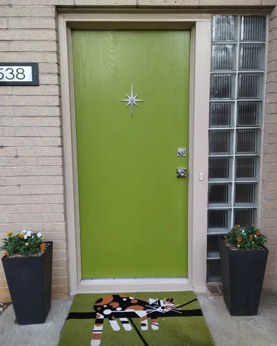 Sw Offbeat Green Front Door