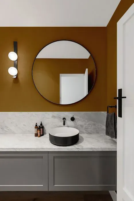 Sherwin Williams Olde World Gold minimalist bathroom