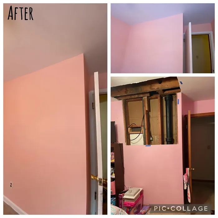 Sherwin Williams Oleander wall paint 