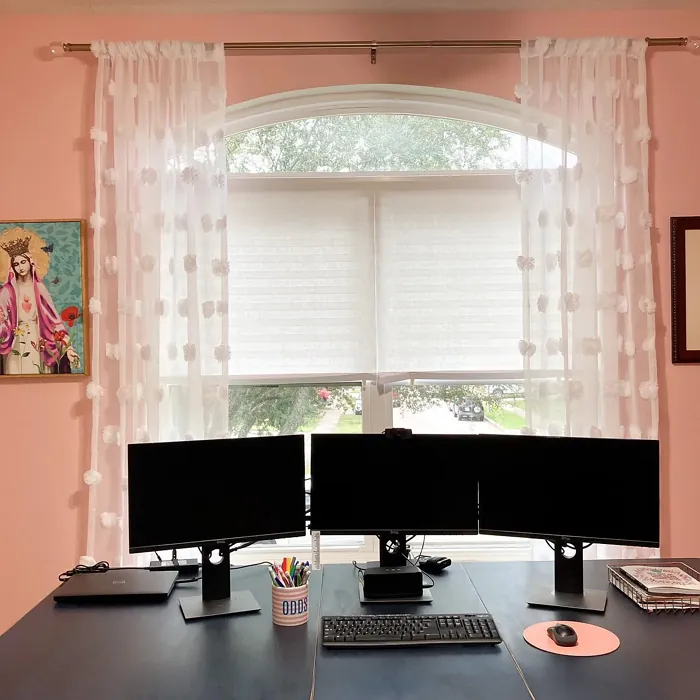 Sherwin Williams Oleander home office paint