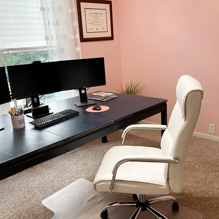 Sherwin Williams Oleander home office paint review