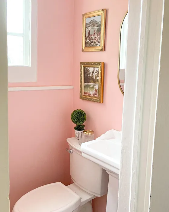 Sherwin Williams Oleander bathroom color review