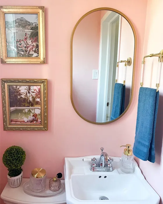 SW Oleander bathroom color paint