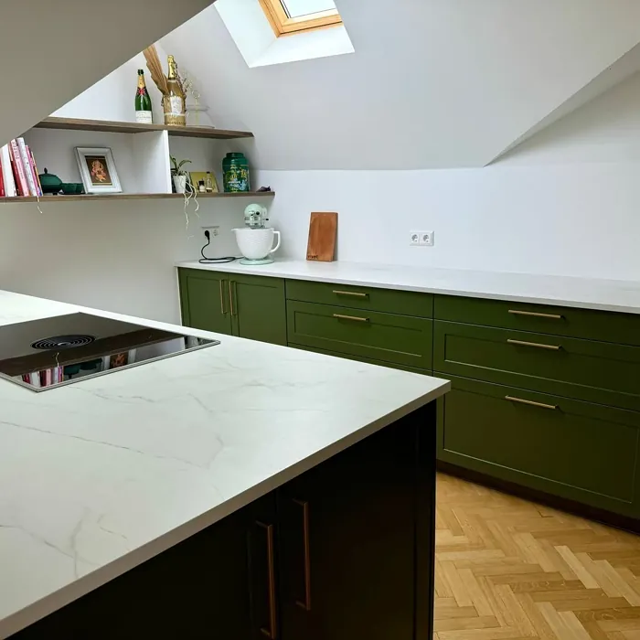 RAL 6003 kitchen cabinets picture