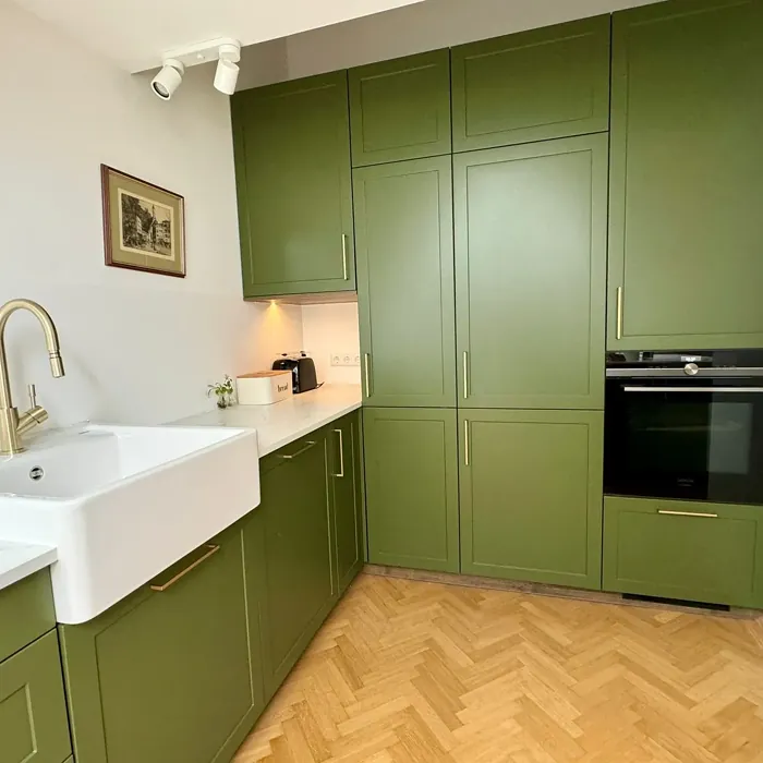 RAL 6003 kitchen cabinets color review