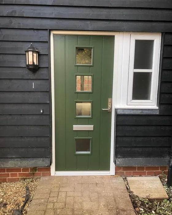 RAL Classic RAL 6003 front door color